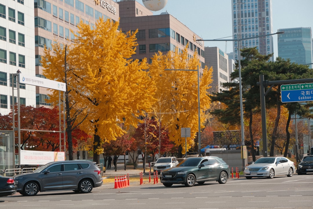 Seoul city autumn foliage