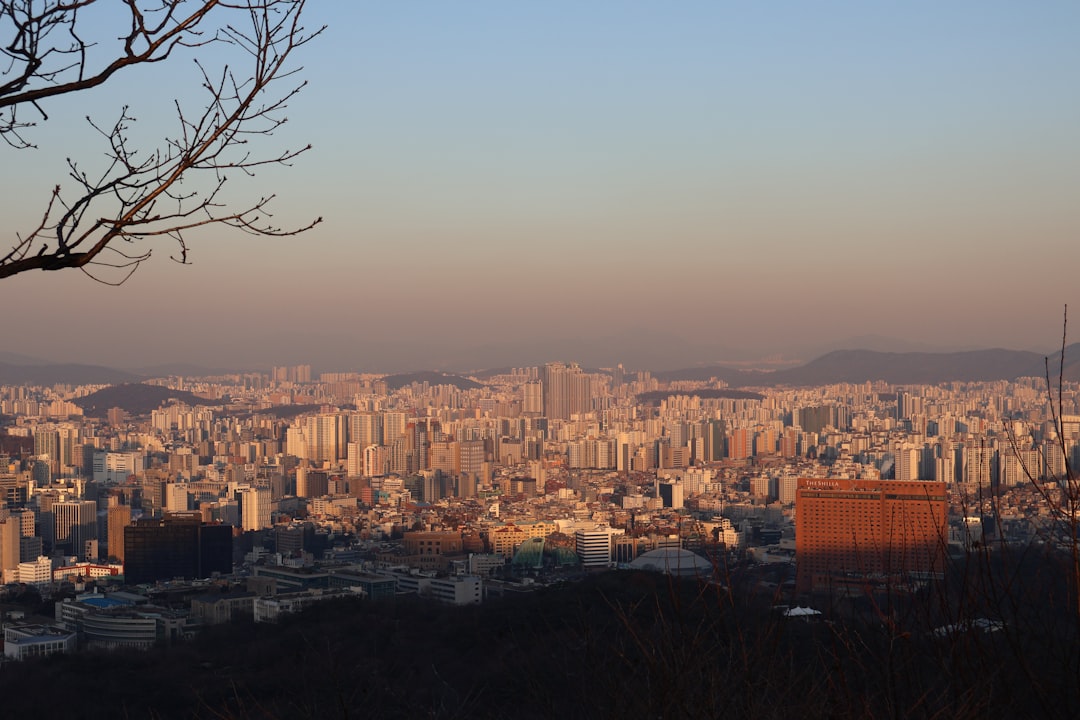 Seoul on a Budget: How to Spend Under $50 a Day